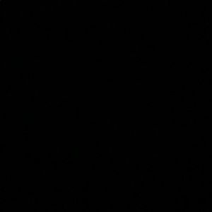 Meet your Posher, Raneisha